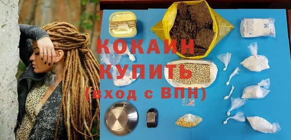 прущие грибы Абинск