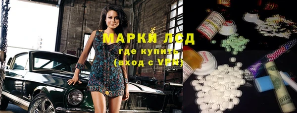 прущие грибы Абинск