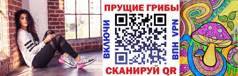 Псилоцибиновые грибы прущие грибы Жердевка